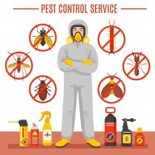 Bee Hive Removal