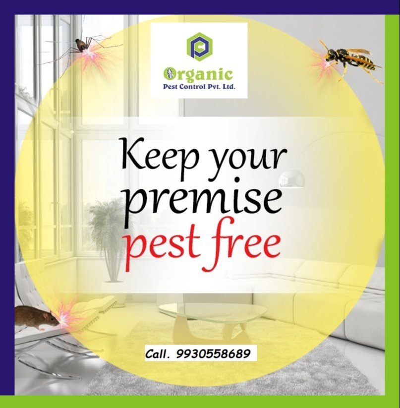 Home Chemical Treatment Bee Control Services