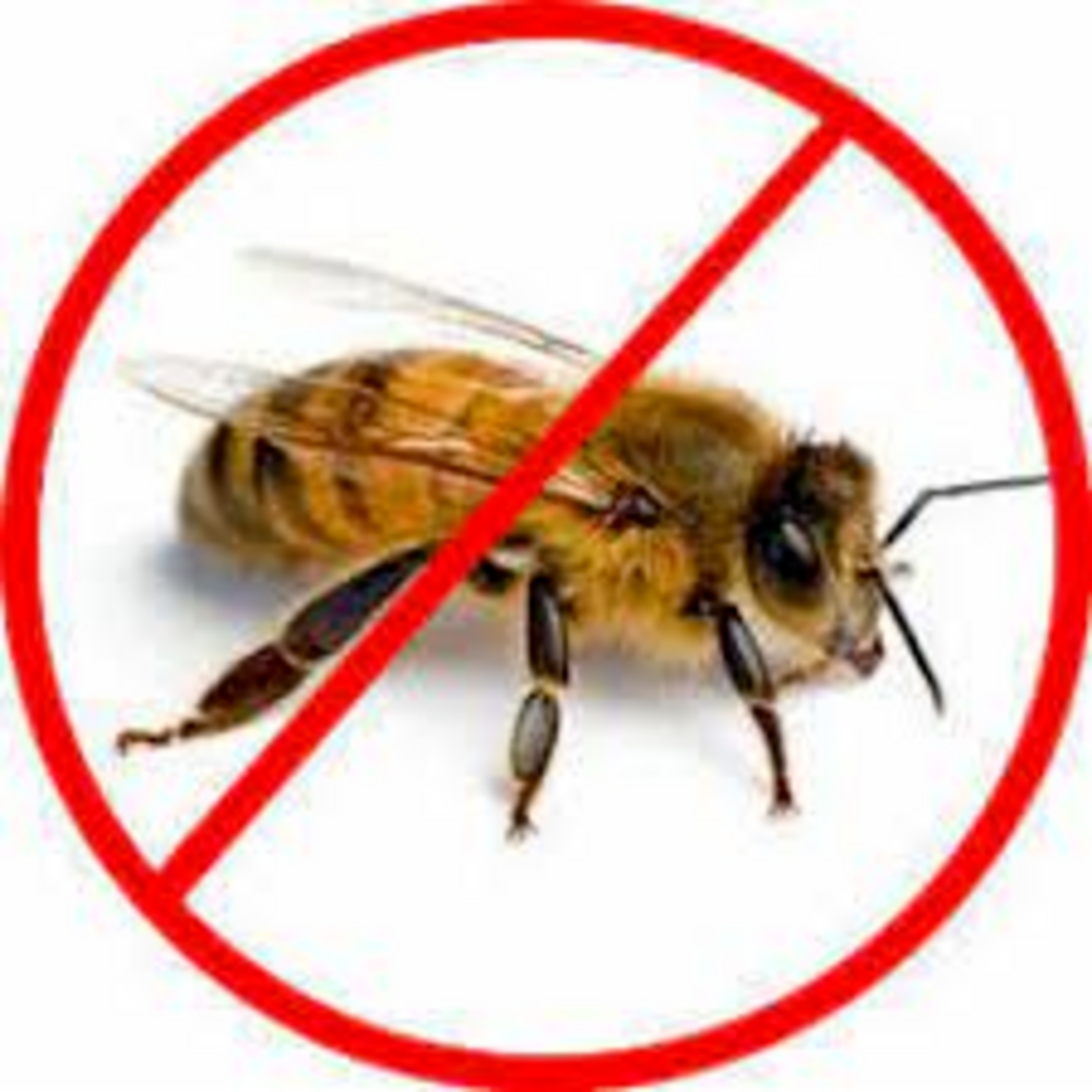 Commercial Fume-based Treatment Honey Bee Control Service