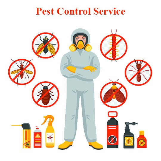 Home Chemical based bee control services