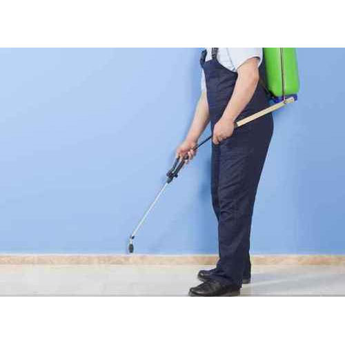 Cockroach Home Insects Control Services