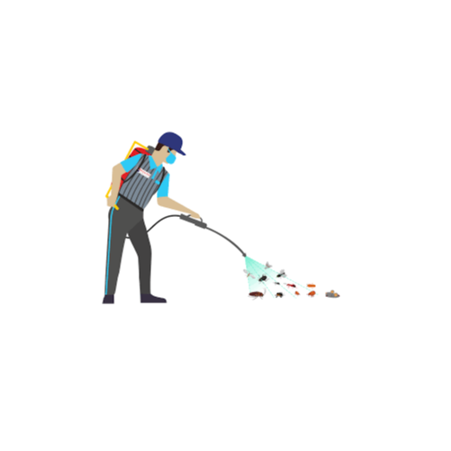 General Pest Or General Insect Control Treatment For House Hold Industrial And Commercial