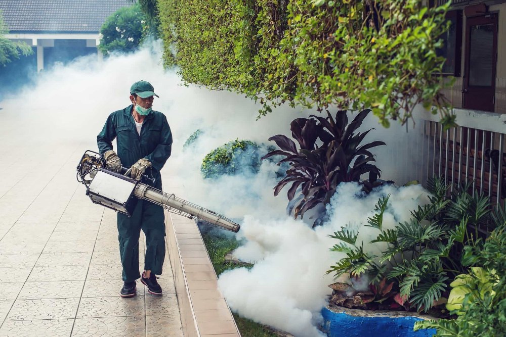 Smoke Pest Control Services