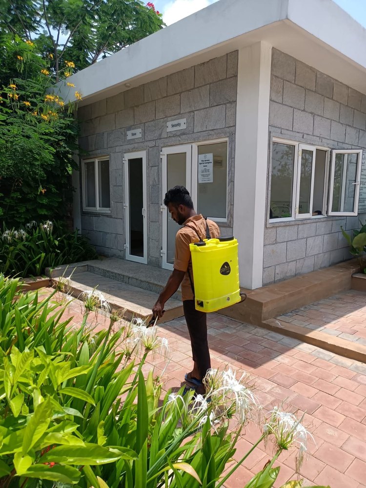 Home Spray Insect Control