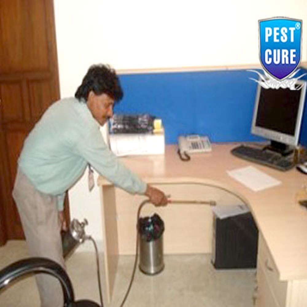 Spray Chemical based Commercial Pest Control Services