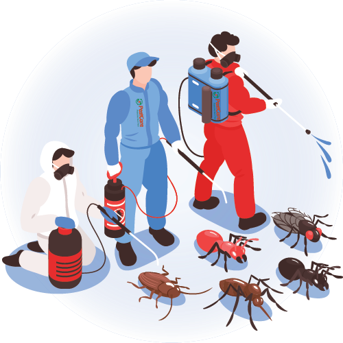 Office Pest Control Services