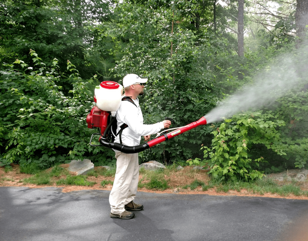 Mosquitoes Control Services