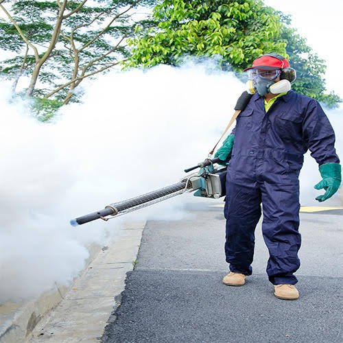 Pest Control Services Mist Blowing Service