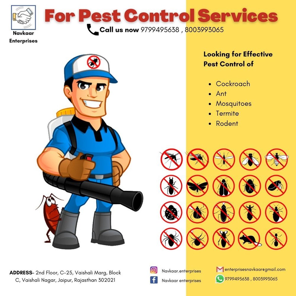 Mosquito Pest Control Services