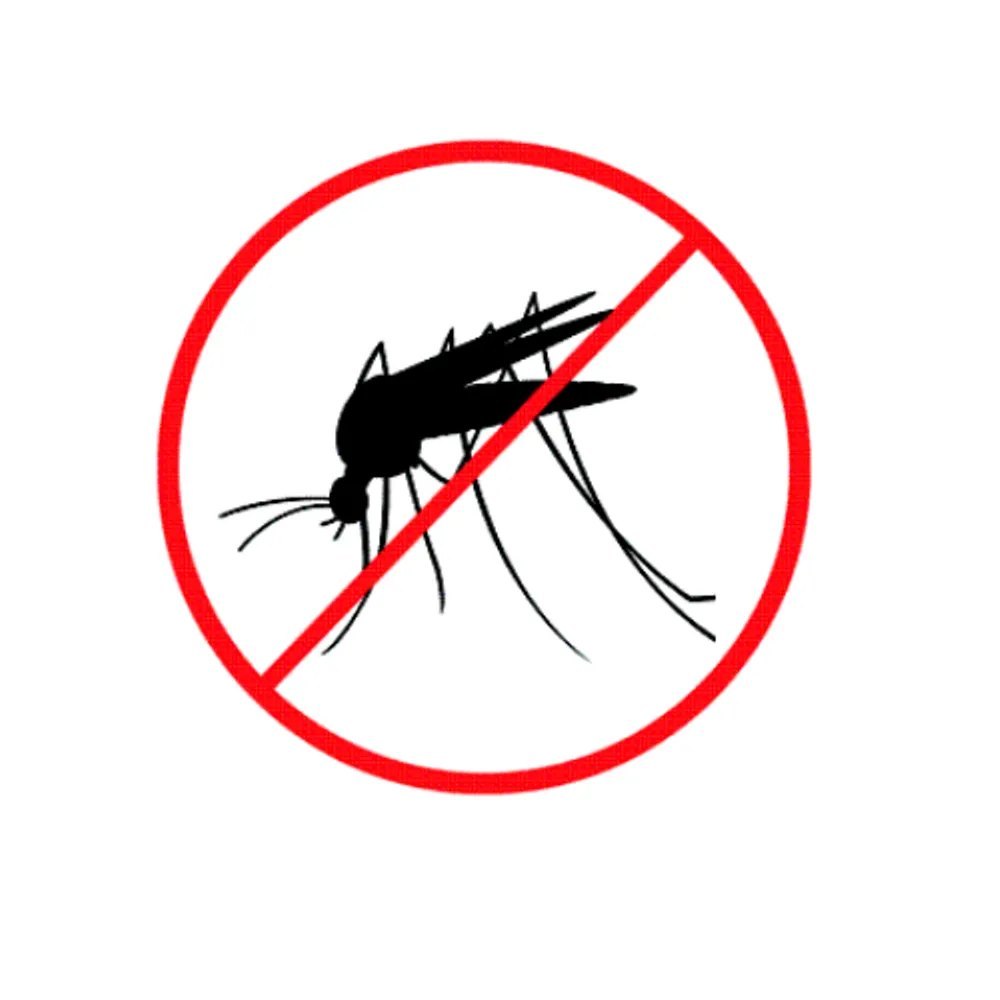 Mosquitoes Control Service