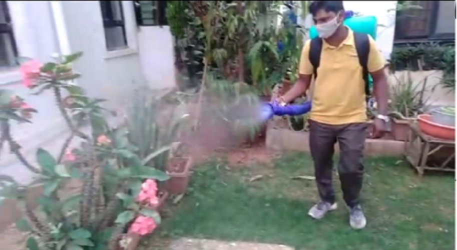 Mosquito Management Service