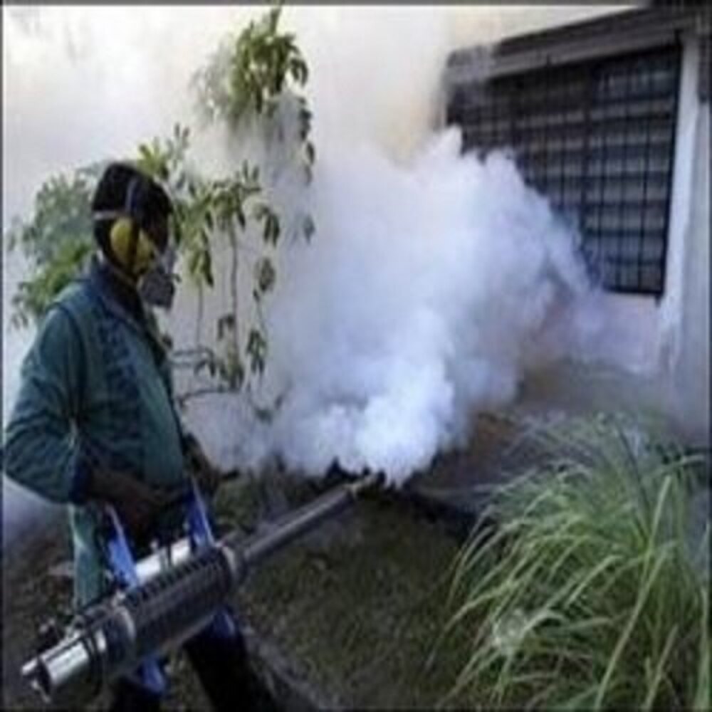 Mosquito Control Fogging Services