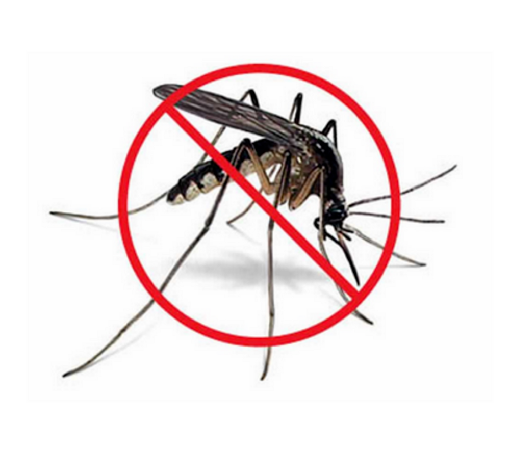 Mosquito Control Treatment Service