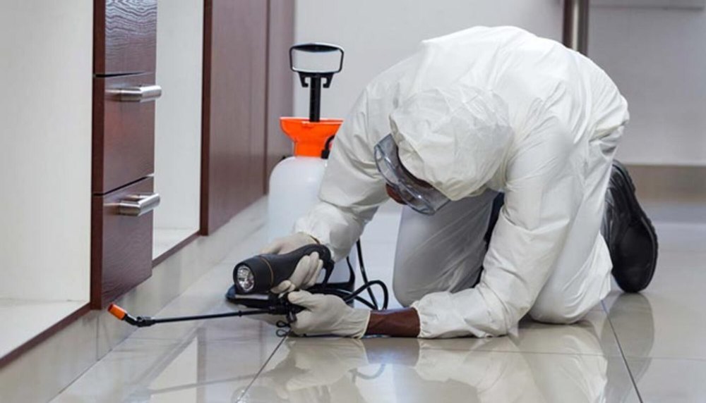 Pacific Pest Control For Ant, in Rajasthan