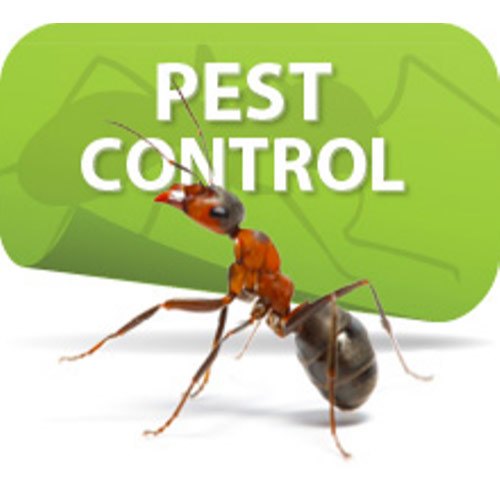 in Commercial One Time Pest Control Service, in Noida