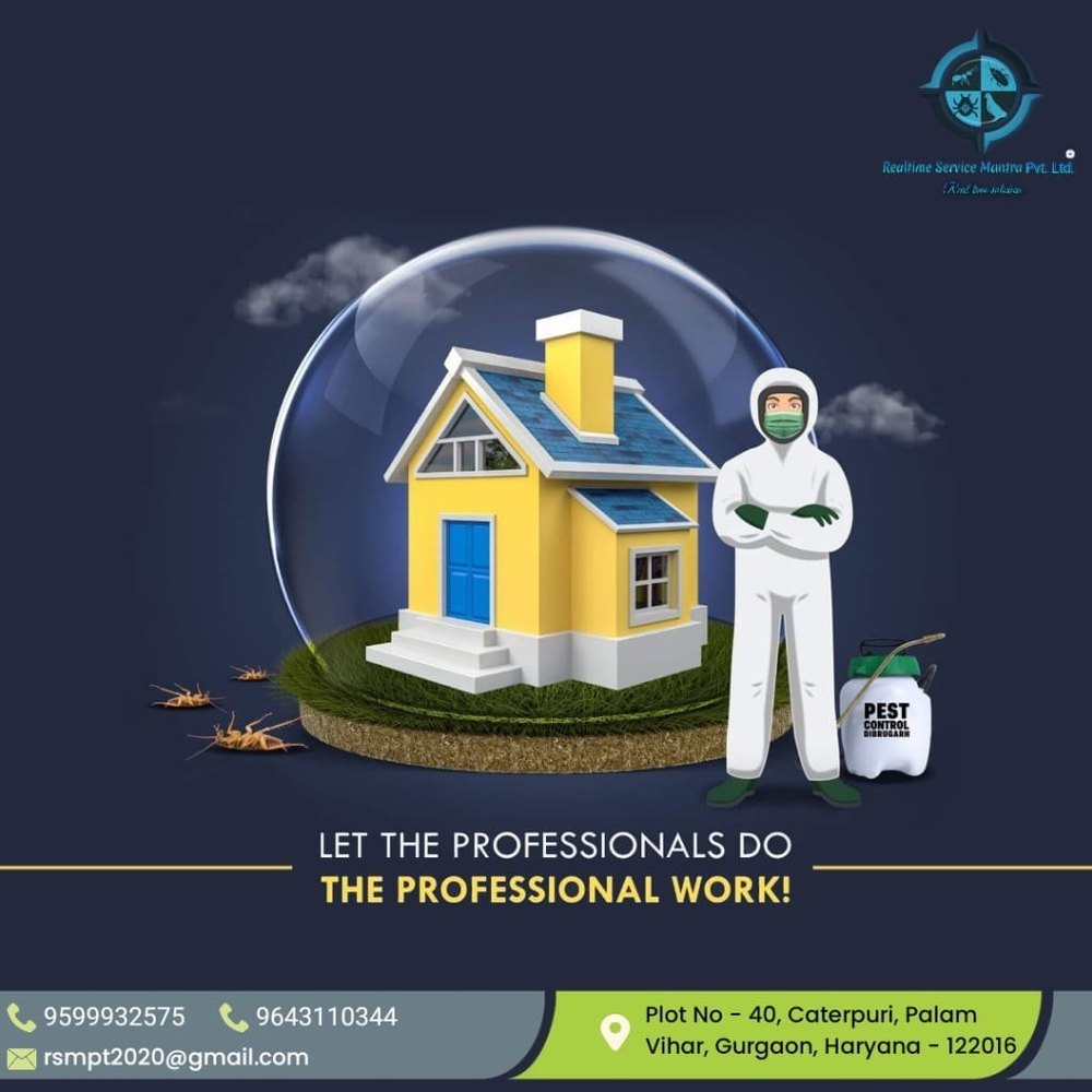 Bed Bugs Pest Control