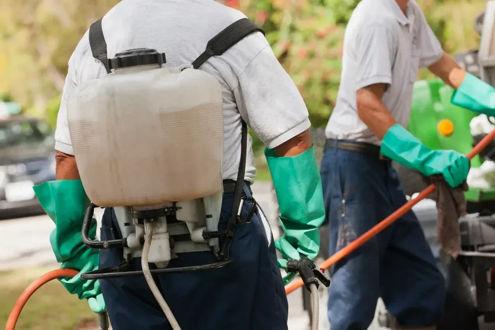 Commercial Spray Herbal Pest Control Service
