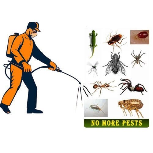 Spray Industrial Pest Control Service