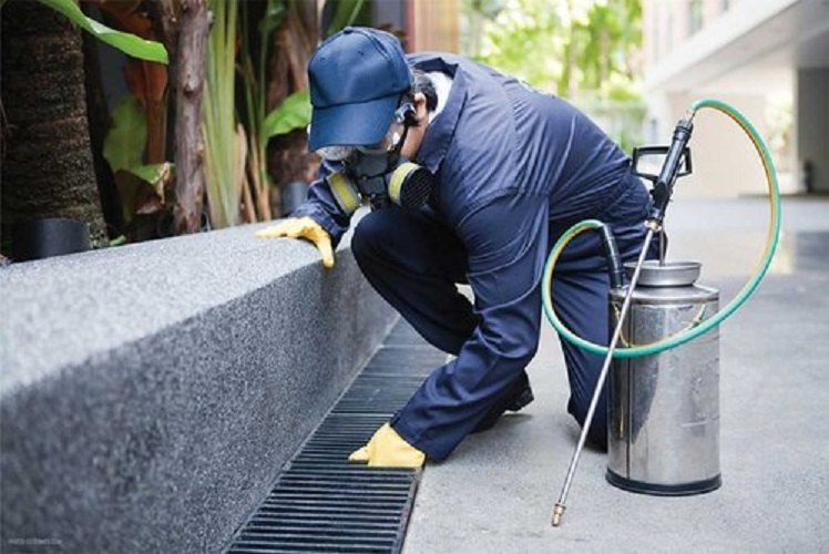 Rodent Spray Industrial Pest Control Service