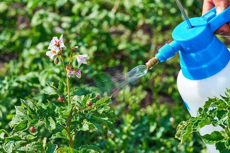 Home Spray Organic Pest Control