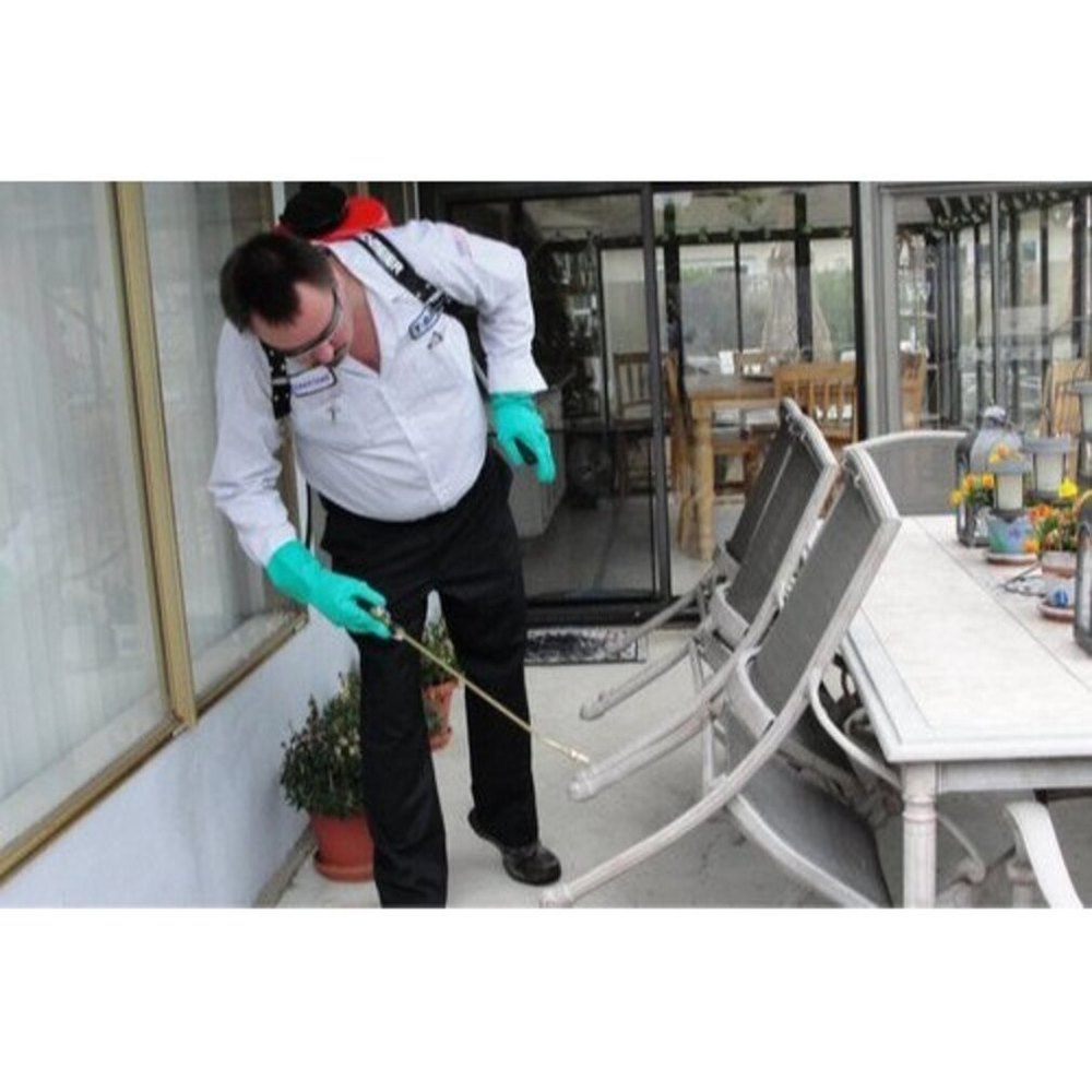 Chemical Treatment Herbal based Pest Control Service