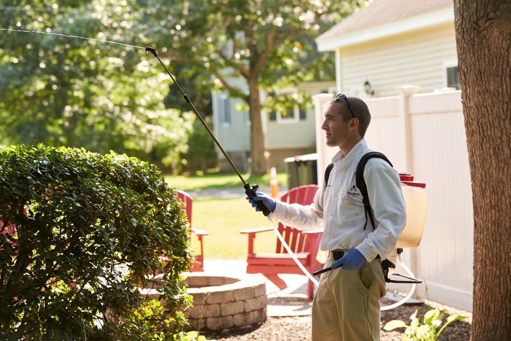 Fume-based Treatment Herbal based Organic Pest Control Service