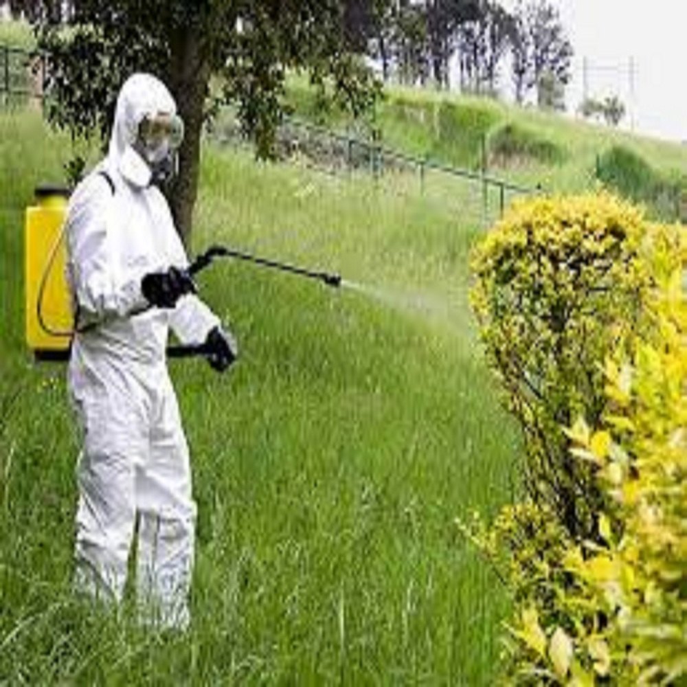 Spray Herbal based Garden Treatment Services
