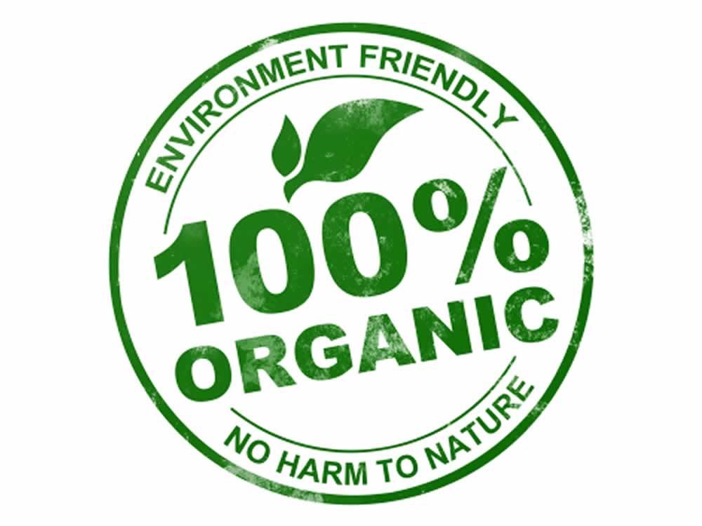 in Home Bee Organic Pest Control Service