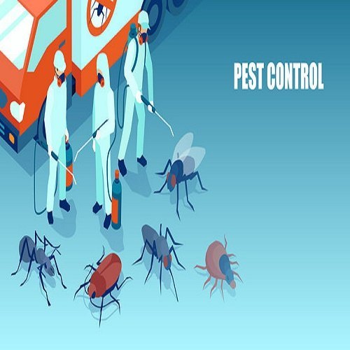 Cockroach Home Organic Pest Control