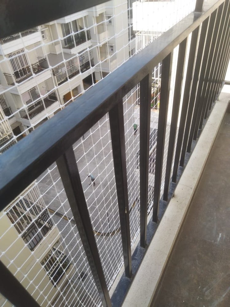 Bird Control Service