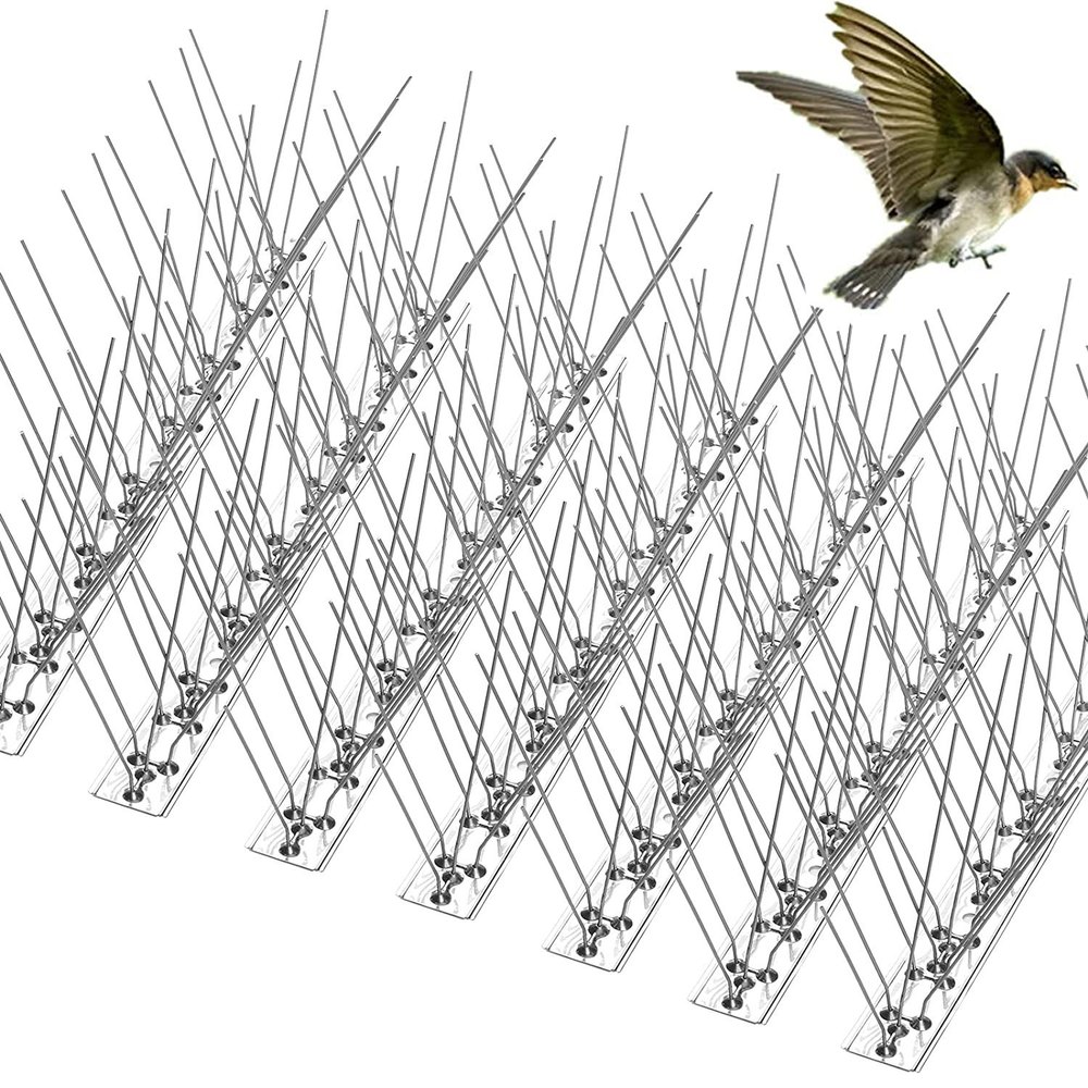 Birds Spikes Control Service