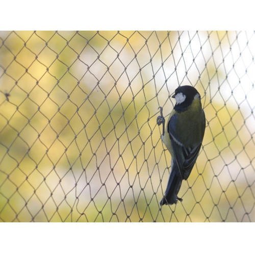 Residential Bird Netting Service