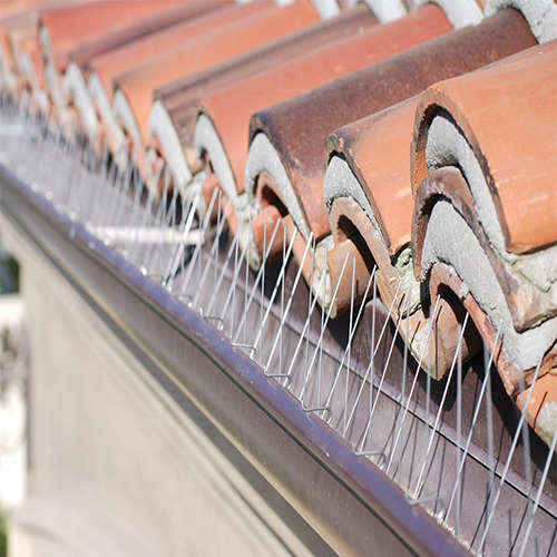 Birds Spikes Control Service