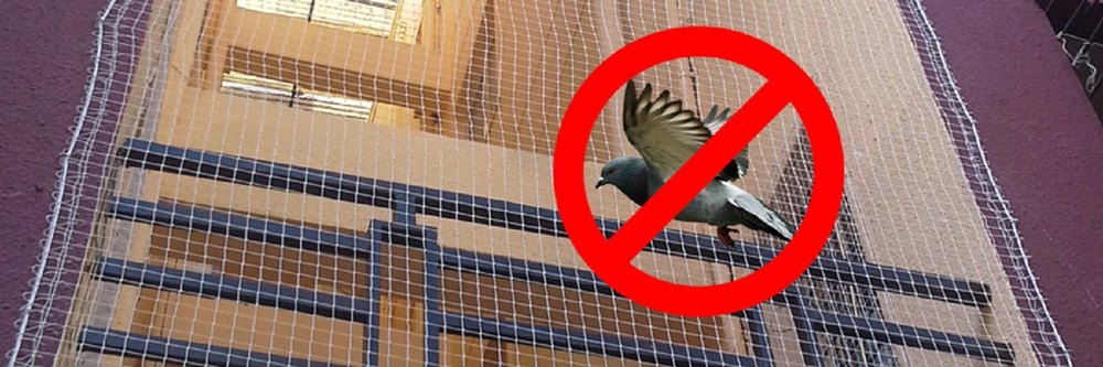 Bird Proofing Service