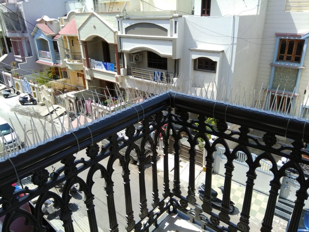 Bird Control Spike Installation Services