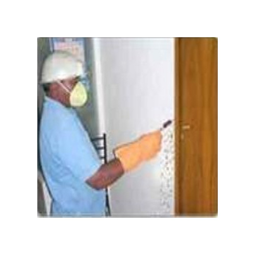 Wood Borer Control Services