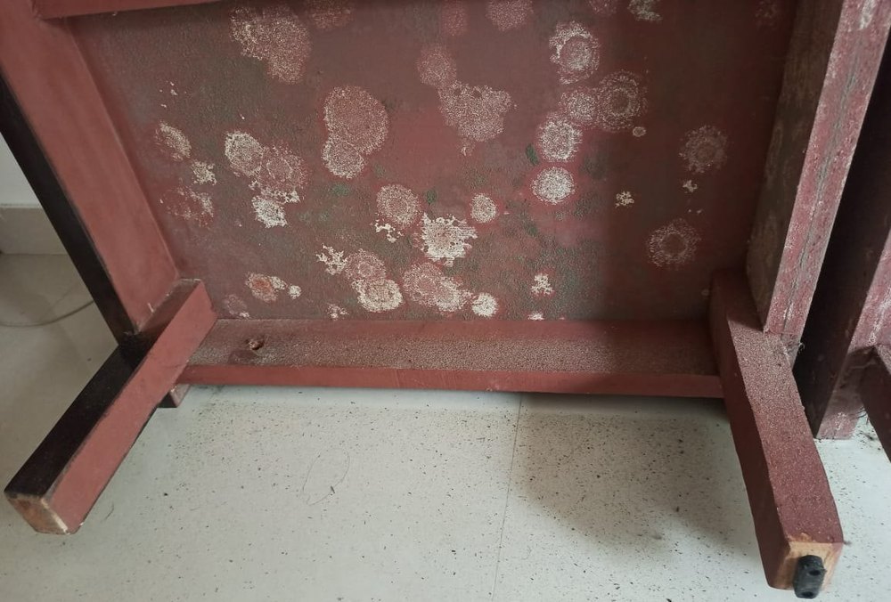 Residential Wood wardrobe Fungus Control Service, Karnataka