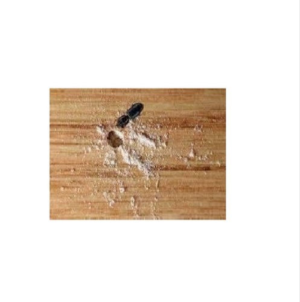 Wood Borer Pest Control Services, Jaipur
