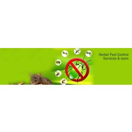 Herbal Pest Control Service