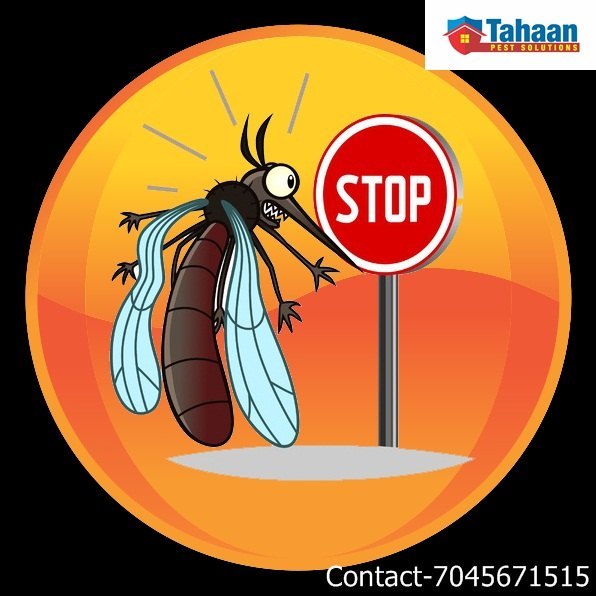 Cockroach Home Herbal Pest Control in Chembur