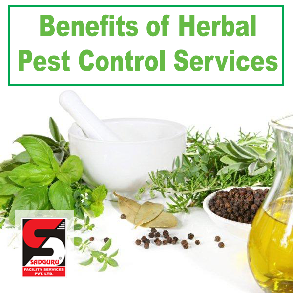 Cockroach Spray Herbal Pest Control