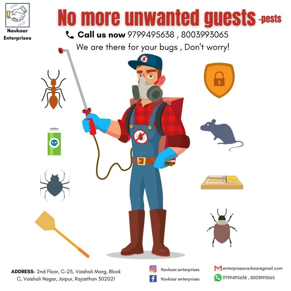 Spider Pest Control Services