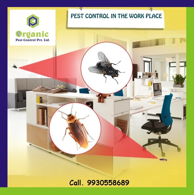 Home Gel & Spraying Treatment Herbal Pest Control