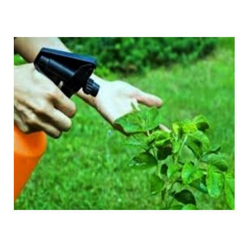Spray Herbal Pest Control Service