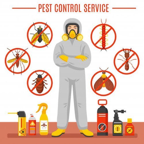 Cockroach Industrial Commercial Pest Control Service