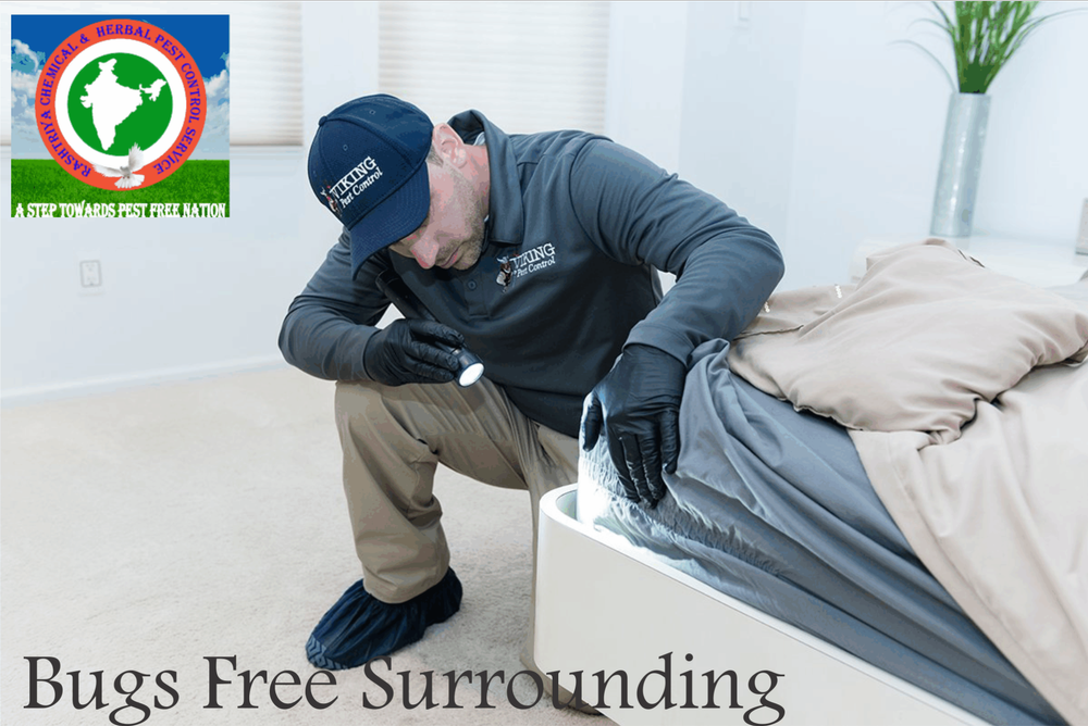 Professional Bed Bug Exterminator Near Me
