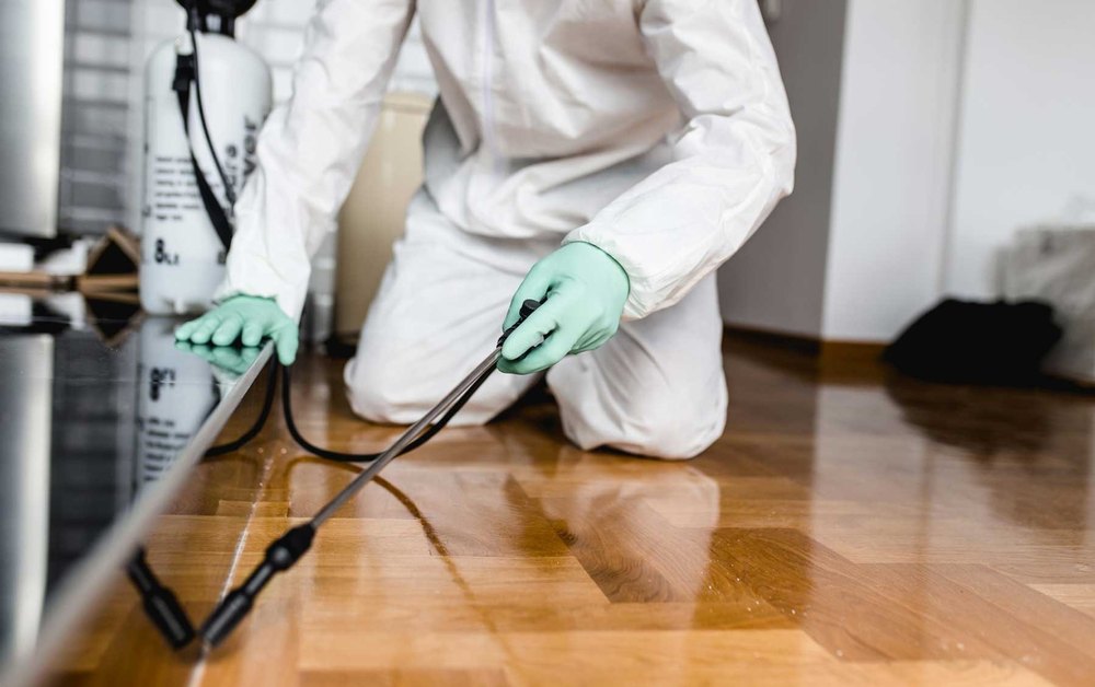Pest Control Service