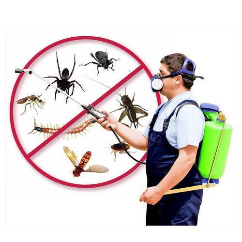Pest Management, Mumbai