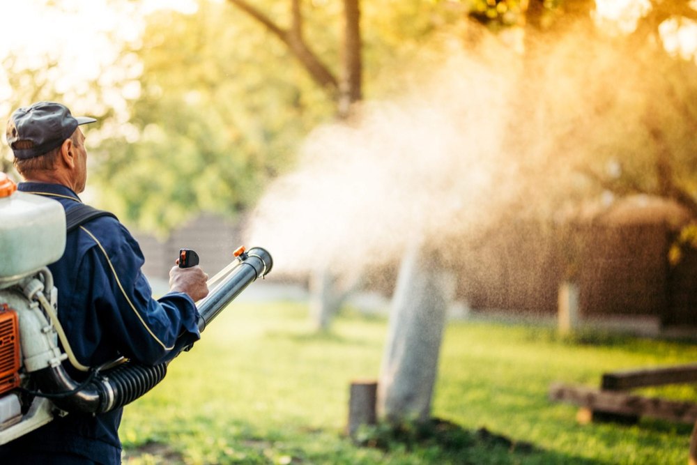 Integrated Pest Management Services