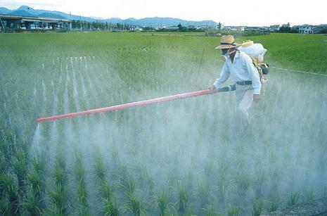 Integrated Pest Management Services